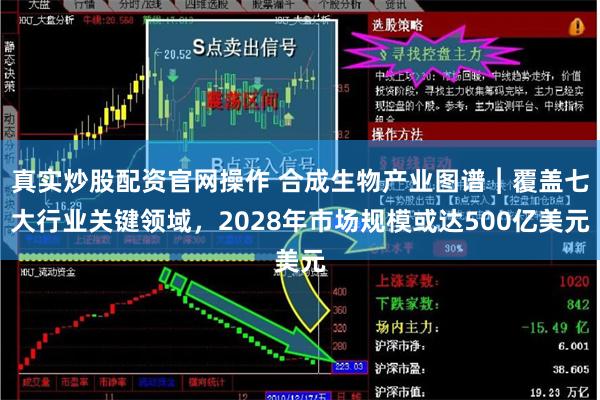 真实炒股配资官网操作 合成生物产业图谱︱覆盖七大行业关键领域，2028年市场规模或达500亿美元