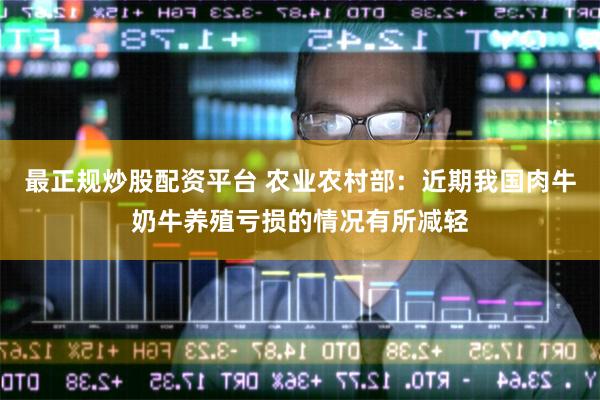 最正规炒股配资平台 农业农村部：近期我国肉牛奶牛养殖亏损的情况有所减轻