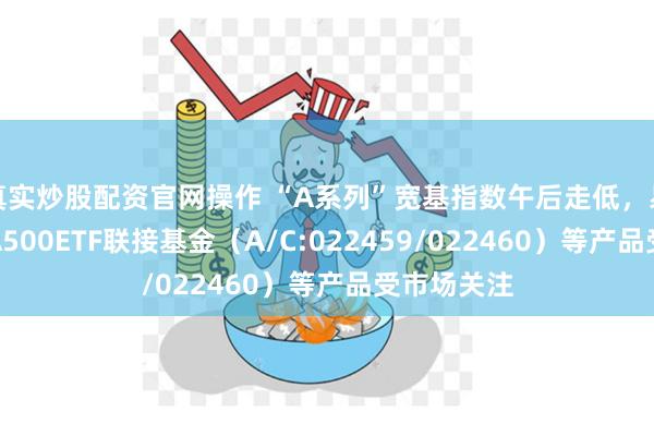 真实炒股配资官网操作 “A系列”宽基指数午后走低，易方达中证A500ETF联接基金（A/C:022459/022460）等产品受市场关注