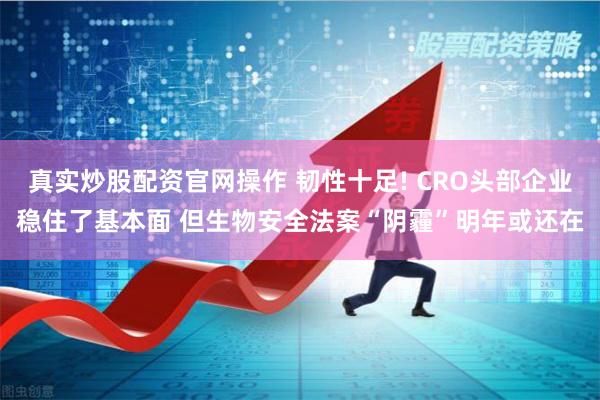 真实炒股配资官网操作 韧性十足! CRO头部企业稳住了基本面 但生物安全法案“阴霾”明年或还在