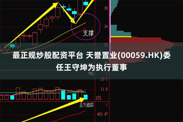 最正规炒股配资平台 天誉置业(00059.HK)委任王守坤为执行董事