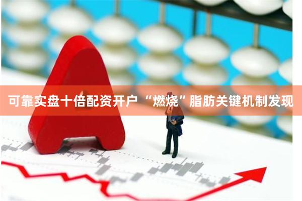 可靠实盘十倍配资开户 “燃烧”脂肪关键机制发现